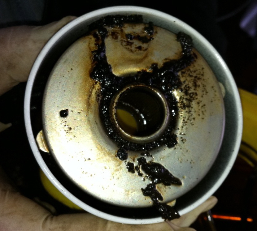 Is all sludge Diesel Bug?